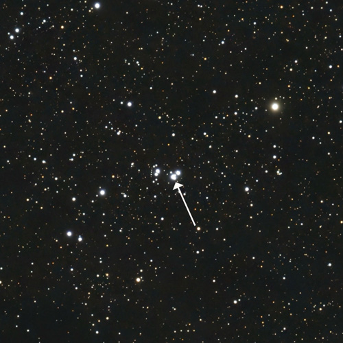 The photo shows the Wolf-Rayet star called WR 133. The arrow in the image is pointing to a remarkable pair of massive stars located in or near the star cluster NGC 6871 in the constellation Cygnus.