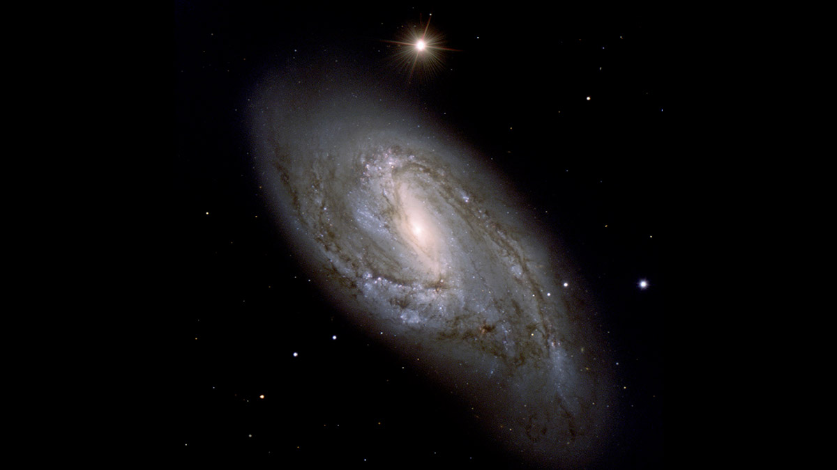 2001年　豪州　ワライカワセミ　NGC　MS65 4330312-022 Barred Spiral Galaxy NGC 6217 - NASA Science