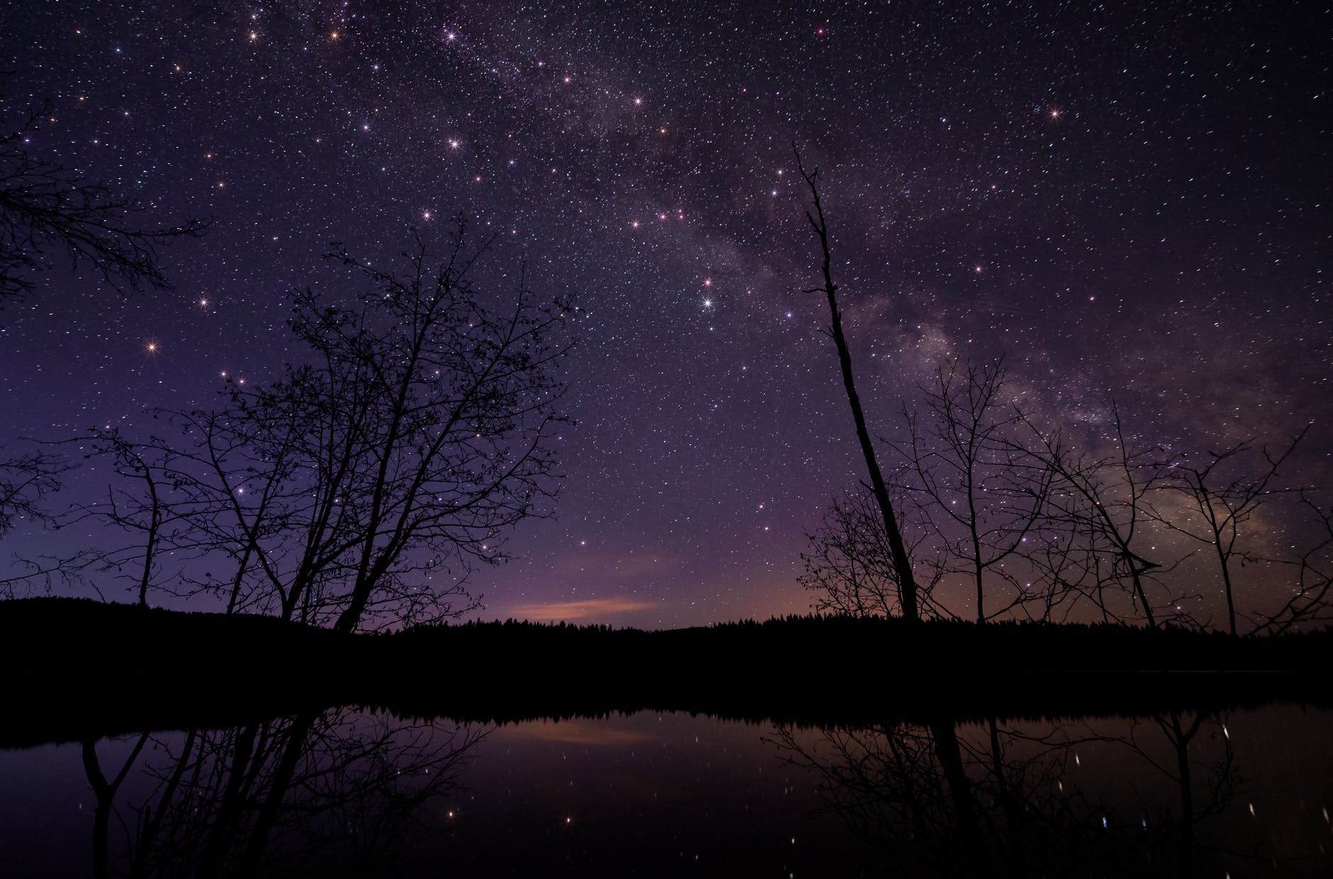 Photo of a serene night sky featuring many stars and the Milky Way crossing through with trees in the foreground as it looks from suburban backyards. 