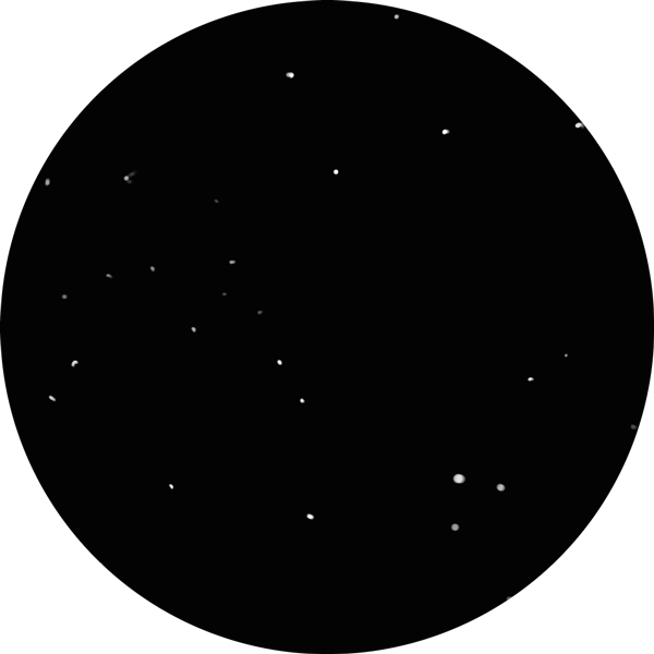 Sketch of the NGC 752 star cluster as viewed through an 8-inch SCT telescope.