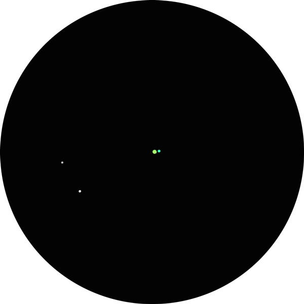 This drawing shows what Algieba looks like through an 8-inch SCT scope with it's contrast colors. 
