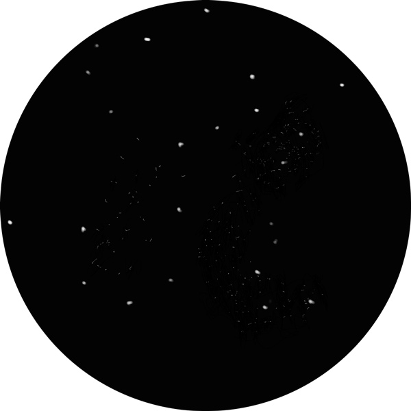 Sketch of open cluster NGC 7789 also known as Caroline's Rose or White Rose Cluster found in the constellation Cassiopeia. Draw using 24mm eyepiece in an 8-inch SCT scope.