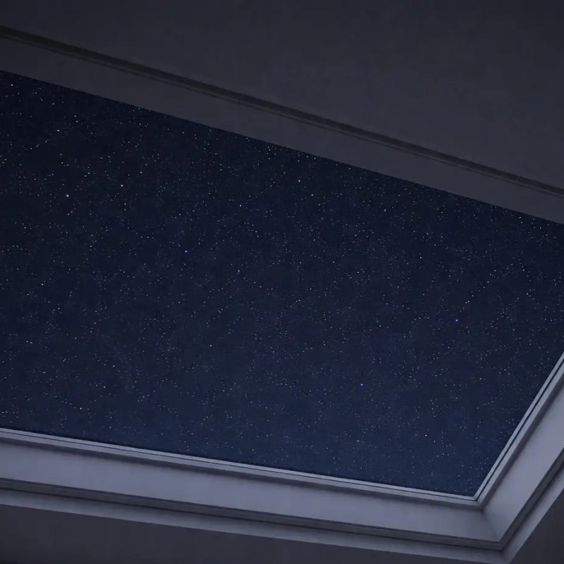 Through the Skylight