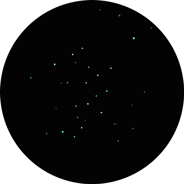 Sketch of Messier 67 star cluster as viewed through an 8-inch SCT scope with 12mm eyepiece under light-polluted suburban skies. Even from the city, the old star cluster shines with delight.