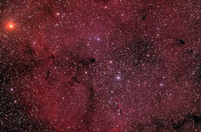 Photo of IC 1396 Nebula