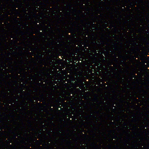 Seestar S50 photo of Messier 50 cluster.