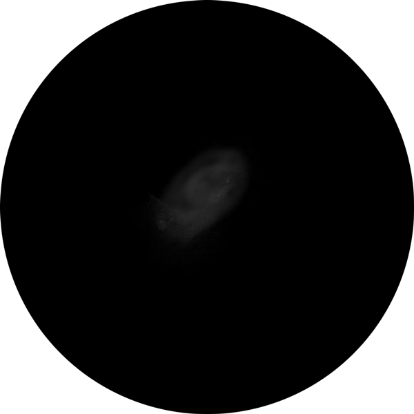 Sketch of Messier 33 galaxy as viewed through an 8-inch SCT scope with 25mm eyepiece.