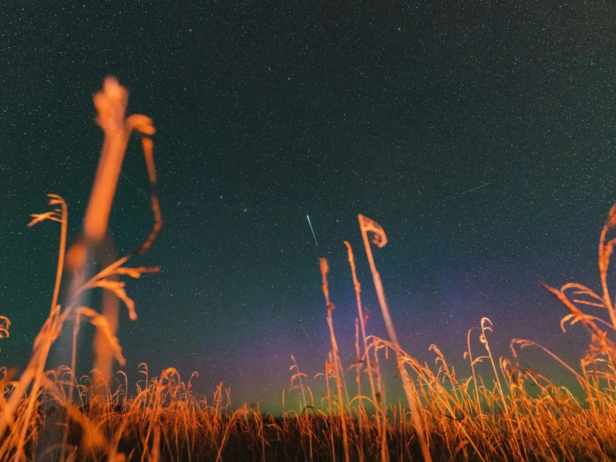 August Nights Under the Perseid Meteor&nbsp;Shower
