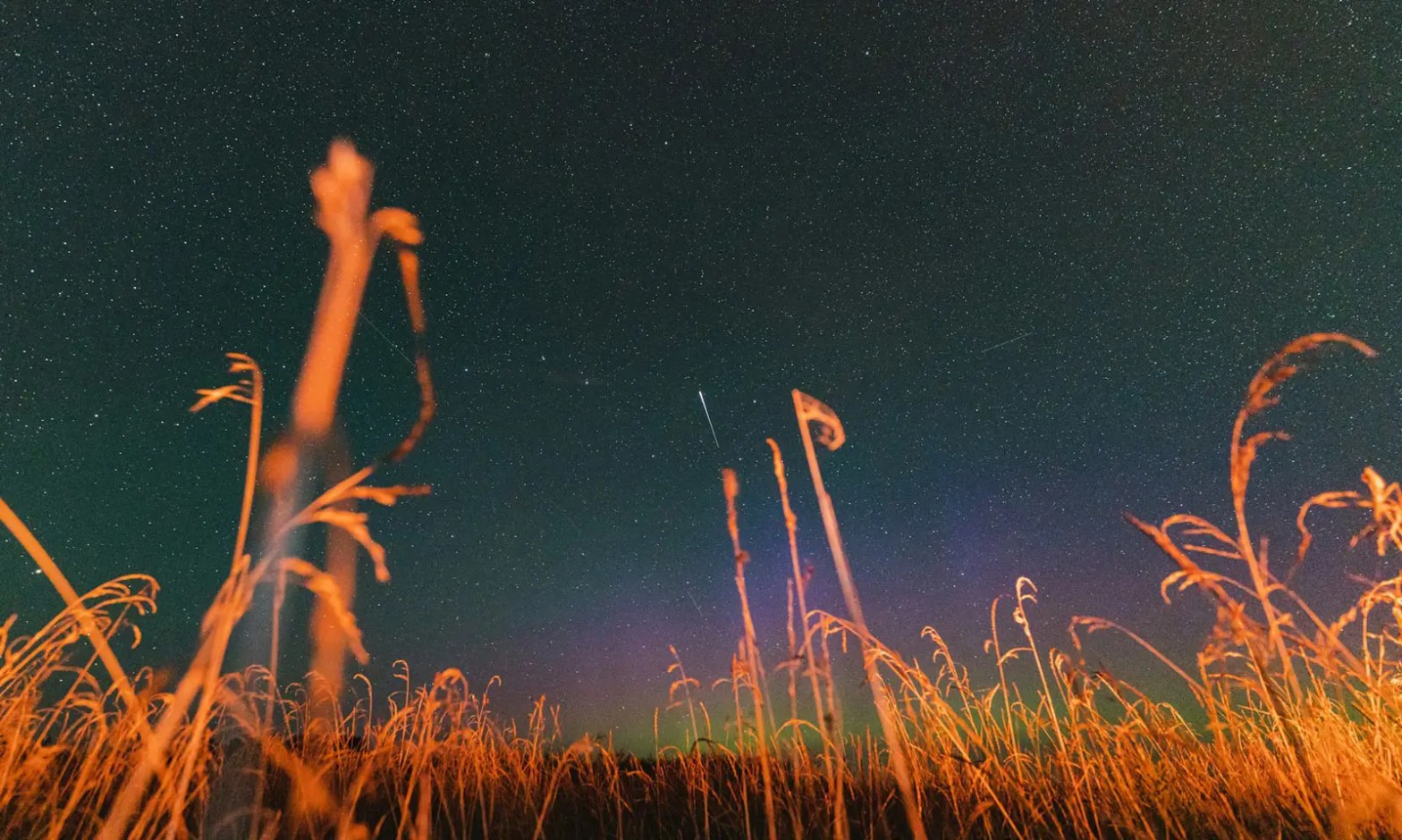Starry sky above a lighted wheat field.