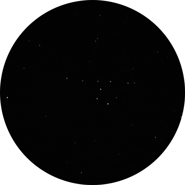 Sketch of Brocchi's Cluster, also cataloged as Collinder 399, through a pair of binoculars sized 15 x 75 at 15 times magnification.