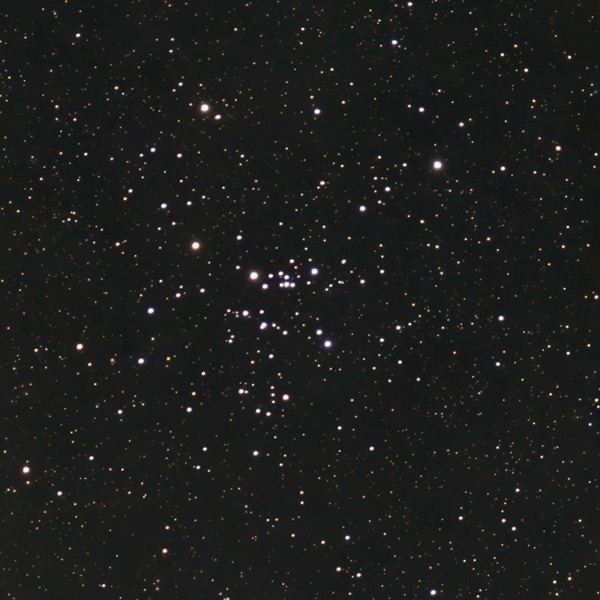 Photo of Messier 25 using Seestar S50 with a 5-minute exposure under Bortle 8 skies in Tampa, Florida. Cluster also known as M25, IC 4725, Melotte 202.