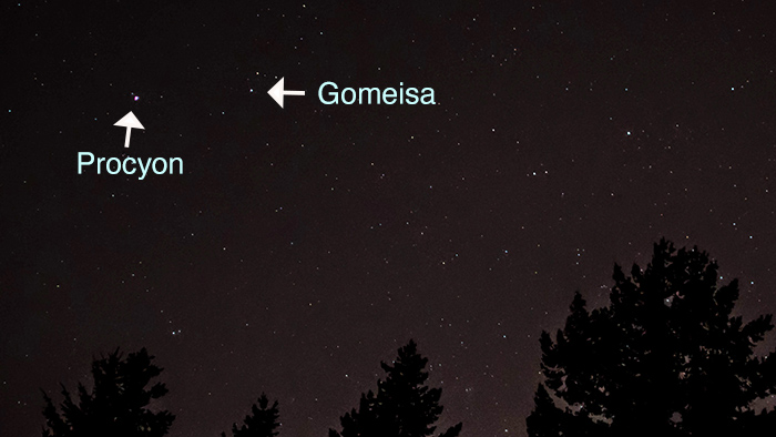 Photo of the night sky from a backyard, showing the star Gomeisa nearby Procyon. Each are labeled so readers can understand the image. 