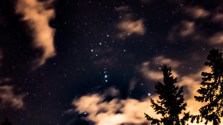 Shows the constellation Orion from a backyard amidst clouds and trees