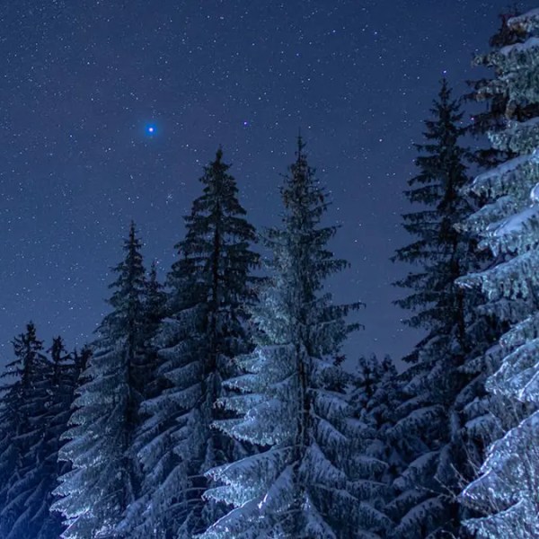 The Quadrantids Meteor Shower and the Turning of the&nbsp;Year