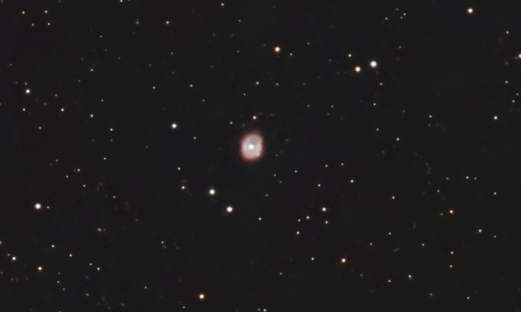 Seestar S50 image of Caldwell 74 planetary nebula in Vela. Cropped.