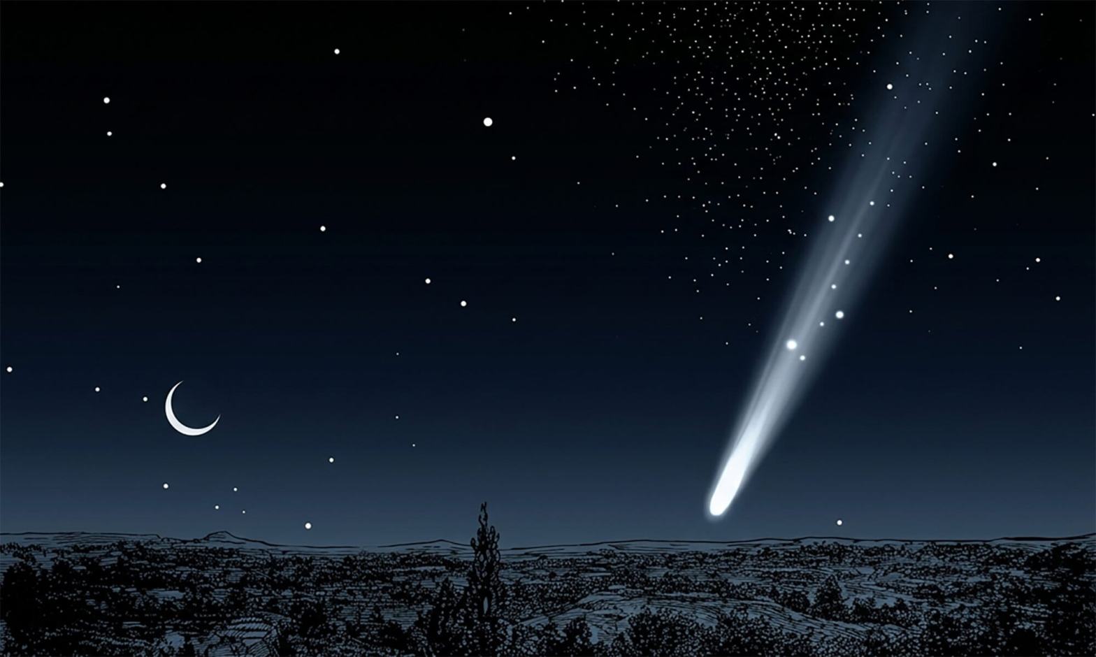 Image of the Great Comet of 1882.