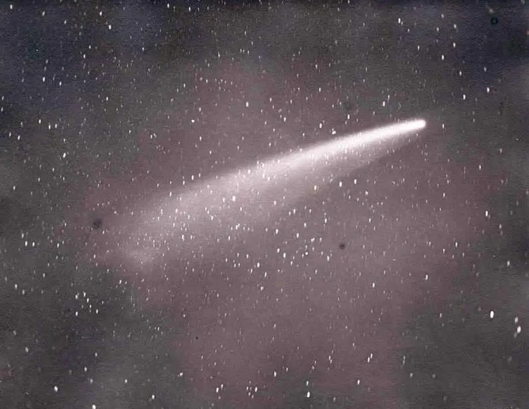 Black and white photo of the Great Comet of 1882 by Sir David Gill