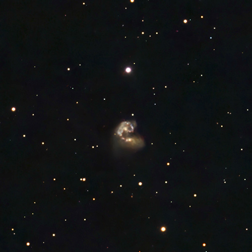 Seestar S50 image cropped of NGC 4038, showing faint color of blue and pink.