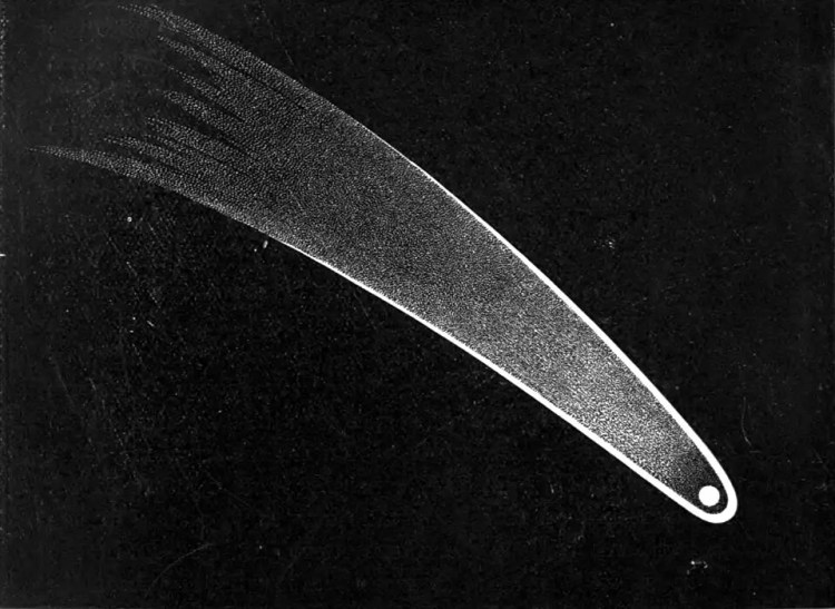 Black and white illustration of the Great Comet of 1811, showing head and tail on black background.